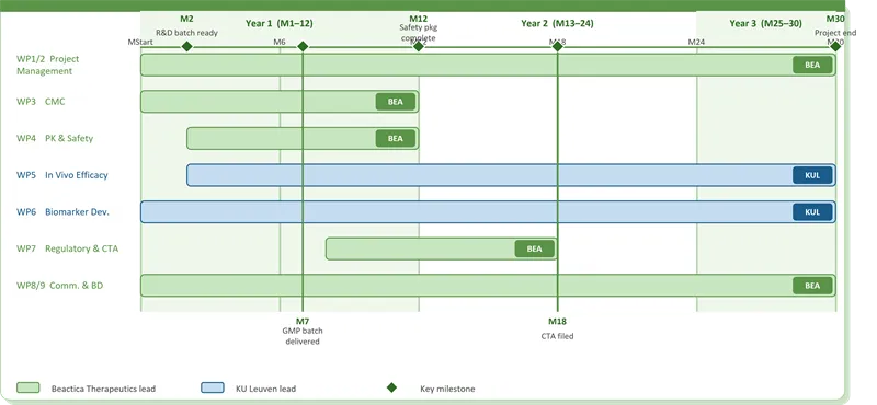 GLIOBREAK WP GANTT